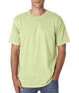 1717 Chouinard Adult Garment-Dyed Ring-Spun Cotton Tee Celedon DirDye