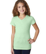 3742 Next Level The Adorable CVC V Mint