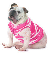 3902 Doggie Skins Baby Rib Tank Pink Woodland