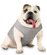3902 Doggie Skins Baby Rib Tank Heather (90/10)
