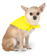 3905 Doggie Skins Bandana Yellow