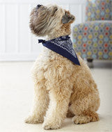 3905 Doggie Skins Bandana Navy Paisley Print