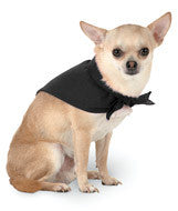 3905 Doggie Skins Bandana Black