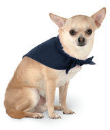 3905 Doggie Skins Bandana Navy