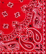 3905 Doggie Skins Bandana Red Paisley Print