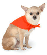 3905 Doggie Skins Bandana Orange