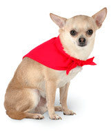 3905 Doggie Skins Bandana Red