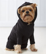 3933 Doggie Skins Baby-Rib Hooded Tee with Pouch Pocket Black